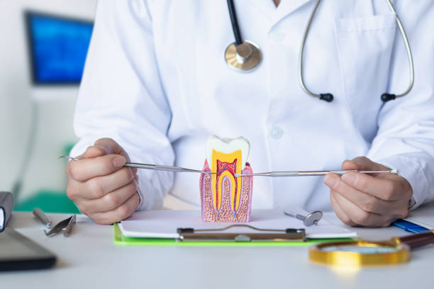 Best Dentist for Dental Trauma  in Brookdale, SC